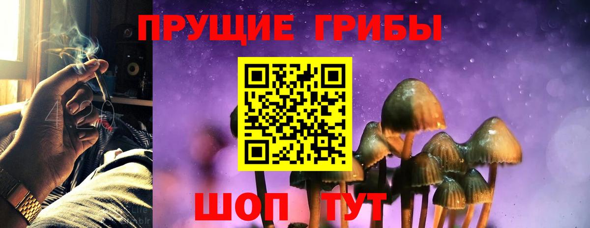 Псилоцибиновые грибы Cubensis  Вход с VPN  Кемерово 